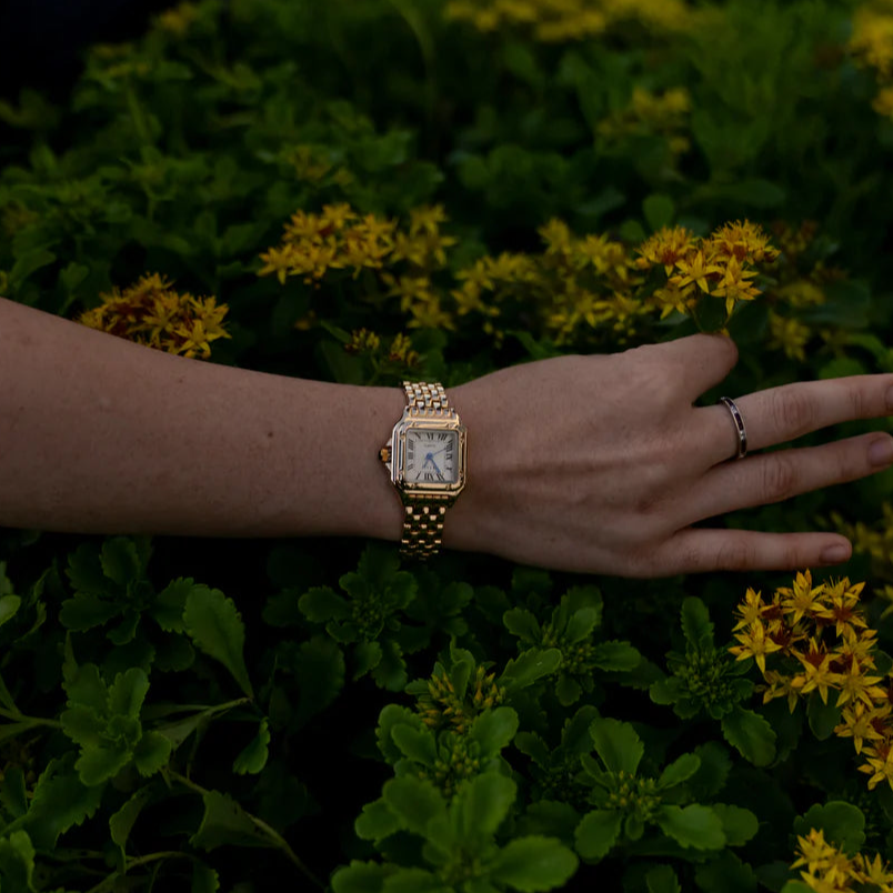 MAZVLO® RICHEMONT